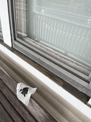 Coal dust residue NN 2.jpg