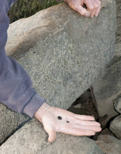 File:NPDES Petition Figure 14- Coal Pieces Found under BNSF Bridge at Skagit River, Next to Waterway .png