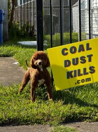 Coal Dust Kills Sign in Southeast Newport News