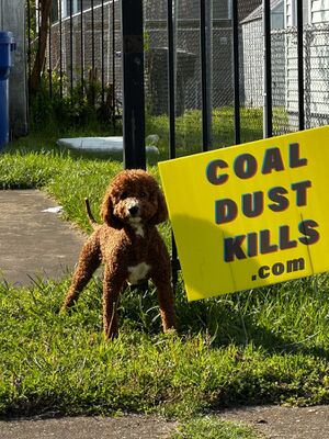 Coal Dust Kills Sign in Southeast Newport News