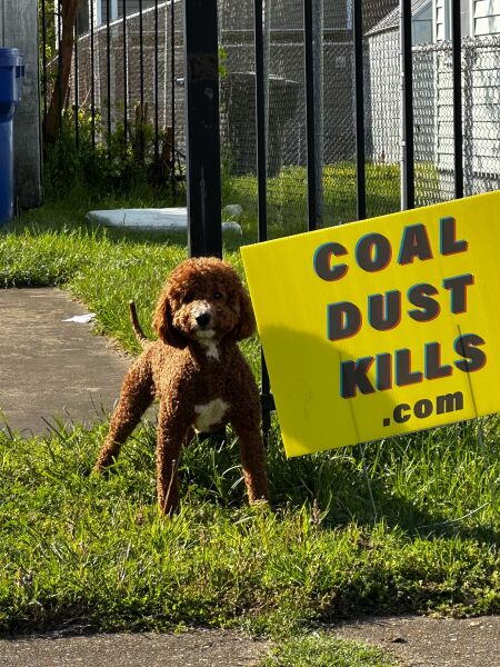 File:Coal Dust Kills Sign in Southeast Newport News.jpg