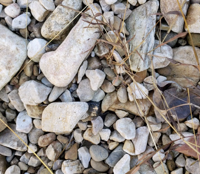 File:NPDES Petition Figure 24- Coal Pieces Found at St. Mary’s River under Railroad Bridge, below Ordinary High-Water Mark .png